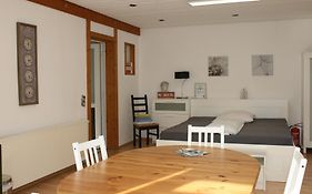 Gemuetliches Grosszuegiges Apartment