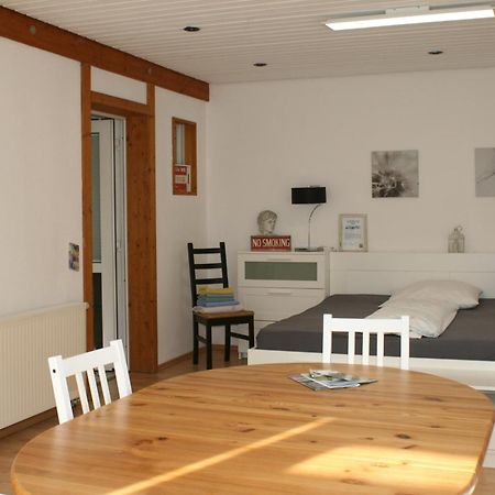 Gemuetliches Grosszuegiges Apartment Höhr-Grenzhausen Buitenkant foto