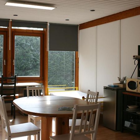 Gemuetliches Grosszuegiges Apartment Höhr-Grenzhausen Buitenkant foto