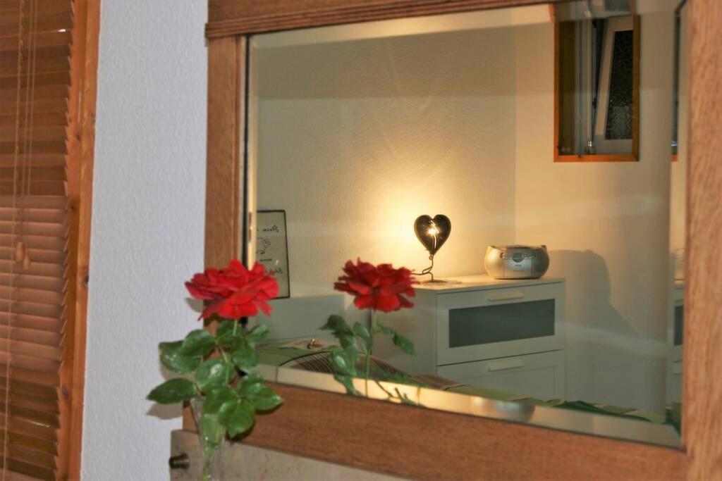 Gemuetliches Grosszuegiges Apartment Höhr-Grenzhausen Buitenkant foto