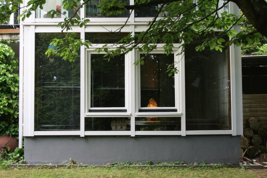 Gemuetliches Grosszuegiges Apartment Höhr-Grenzhausen Buitenkant foto